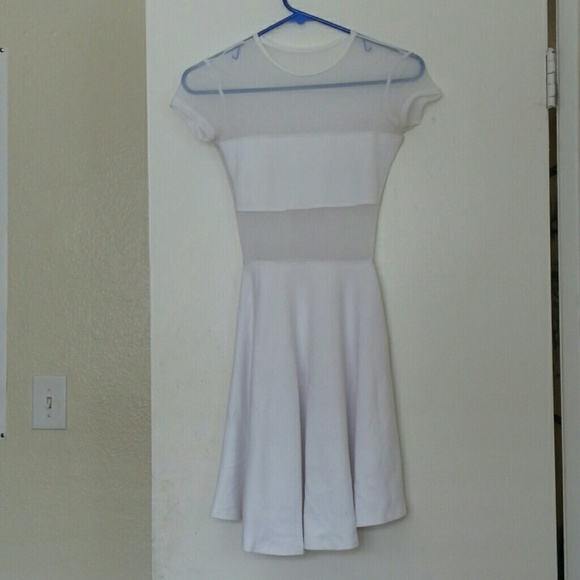 American Apparel Fiona Dress