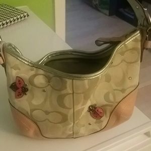 Small ladybug coach bag