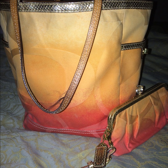 Limited edition Coach set with matching wristlet