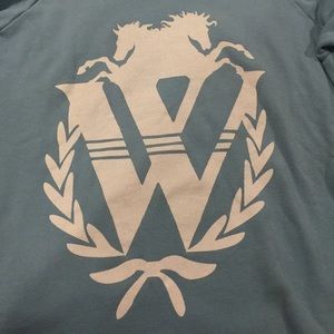 Wildfox blue v-neck sweatshirt size L