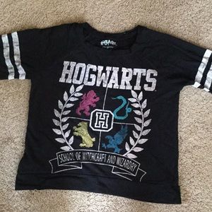 Harry Potter Hogwarts Long-sleeve Shirt