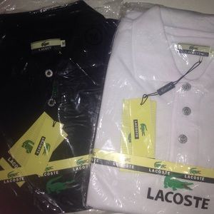 Lacoste shirts for men