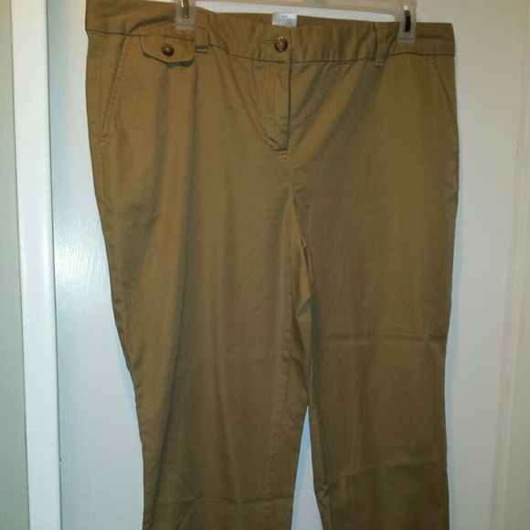 Ladies Plus Size Women's  Pants