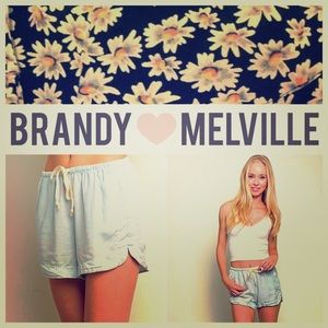 Brandy Melville Light Blue Eve Shorts NWT