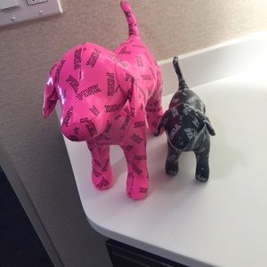 VS giant dog & mini dog