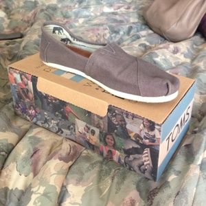 Womens Ash Toms