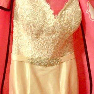 Size 8, Allure, 2015 CC's Bridal. Gorgeous color!