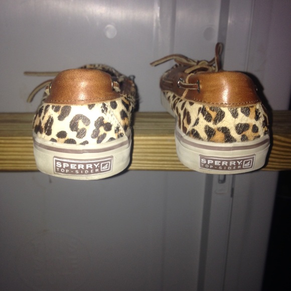 Cheetah sperrys - Picture 4 of 4
