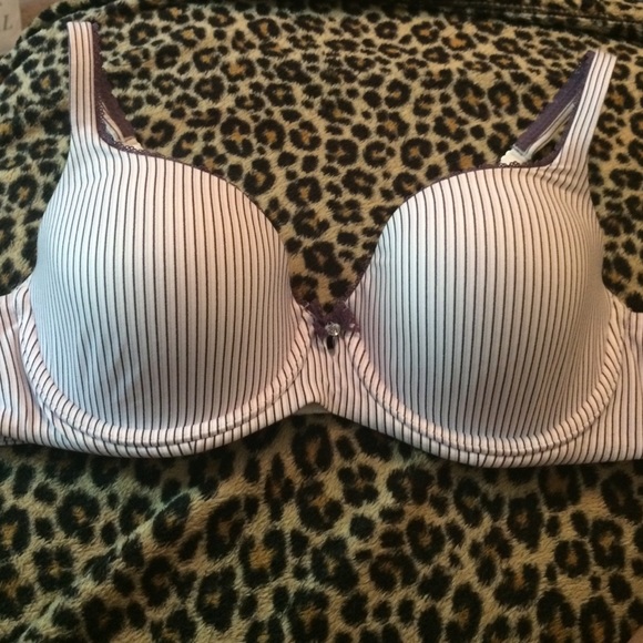 ⛔️⛔️ SOLD⛔️⛔️ Purple & Lavender Stripe Demi Bra