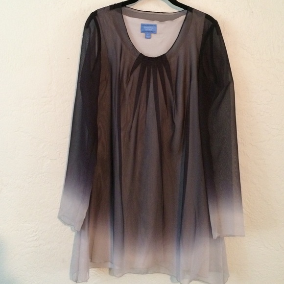 Vera Wang Dresses & Skirts - Vera Wang Sheer Layered Ombré Dress