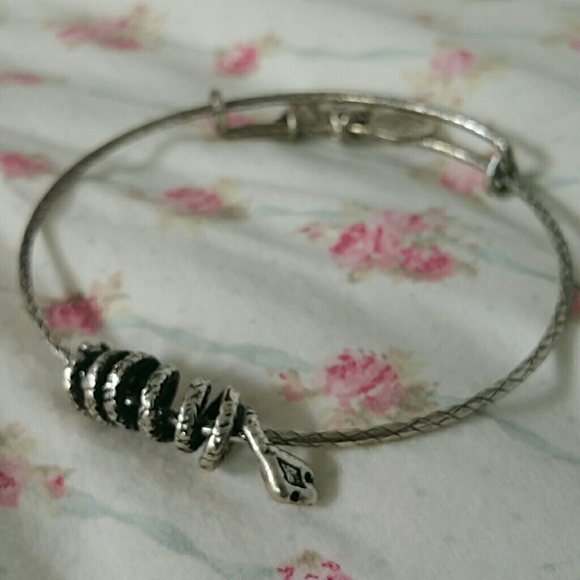Serpent coil silver alex and ani