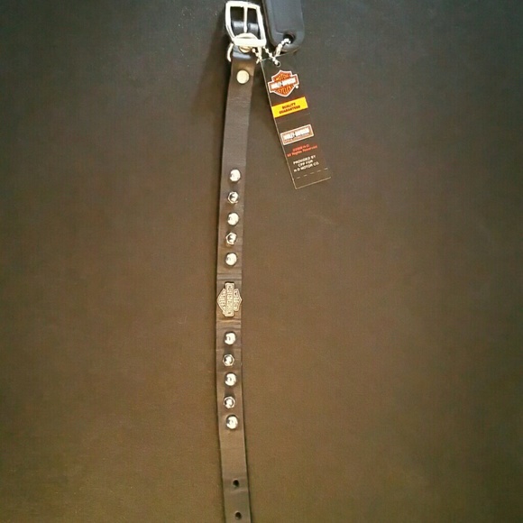 Harley-Davidson dog collar