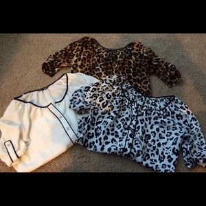 Bundle of Express Shirts