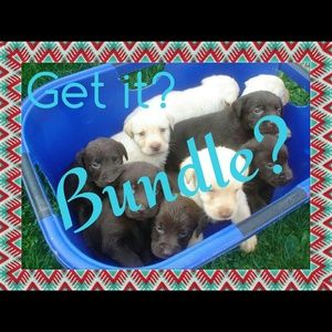 Jewelry bundle for @tamiller