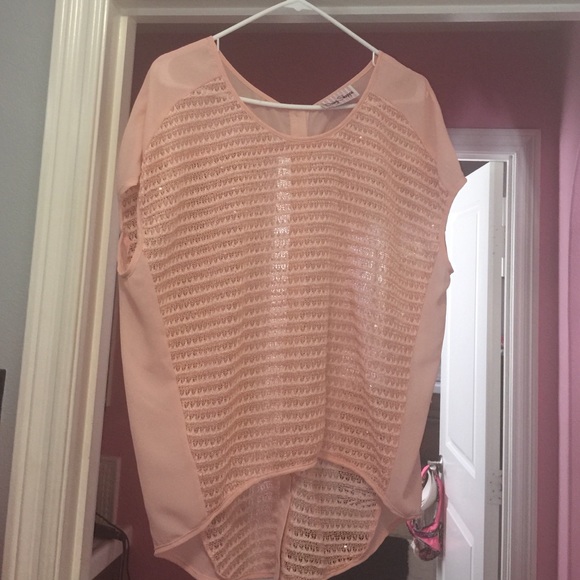 Light Pink Boutique Oversized Blouse