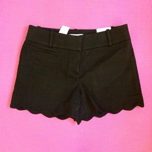 LOFT Black Scalloped Trouser Shorts