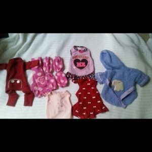 Bundle of cute dog clothes