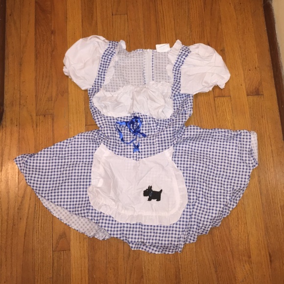 Wizard of Oz Dorothy costume