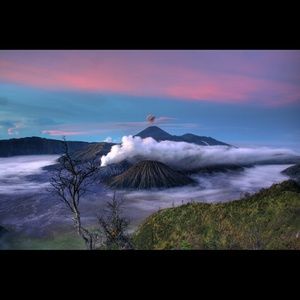 Electricsilence ship label!