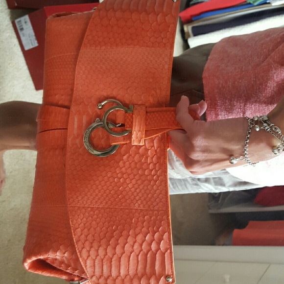 Salvatore Ferragamo python  skin clutch. - Picture 4 of 4