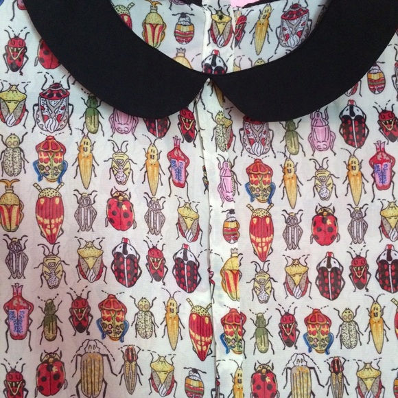 Sheer beetle blouse.