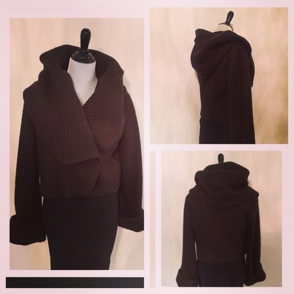 Zara Chic Chocolate Brown Coat
