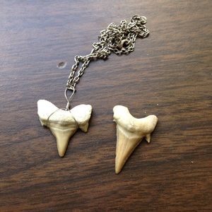 Shark tooth necklace with extra shark tooth