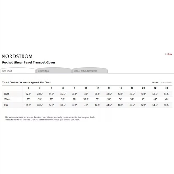 NEW Terani Mesh/Panel dress sz 6 Small or Med. - Picture 2 of 4