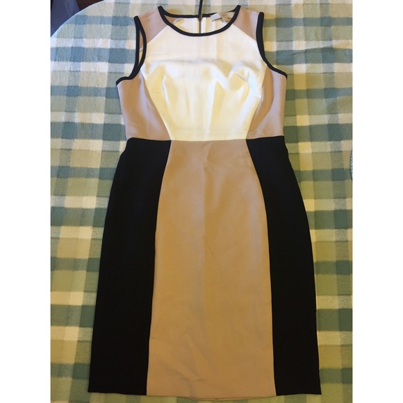 LOFT Dress