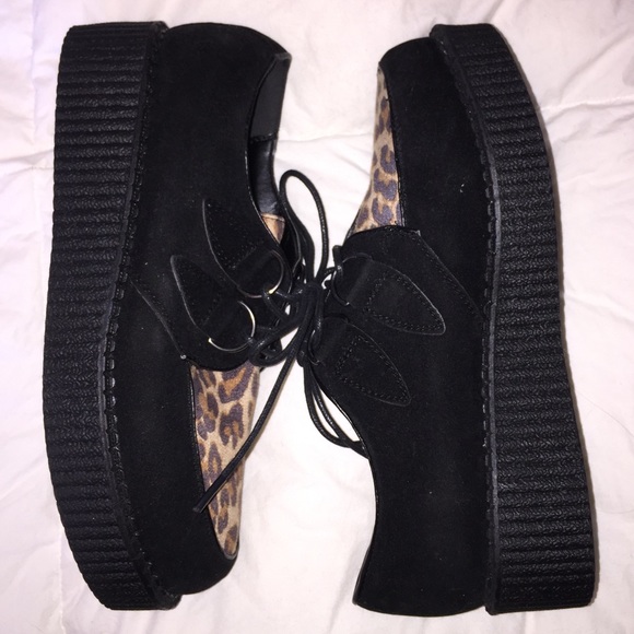 Leopard Creepers