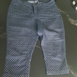 Beau Dawson 14W polka dot capri pants.