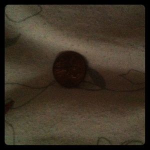 Penny