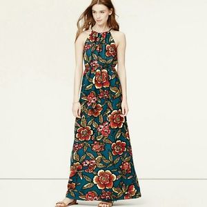 NWT loft maxi dress