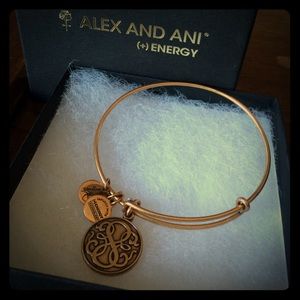 Alex and Ani Path of Life Bangle