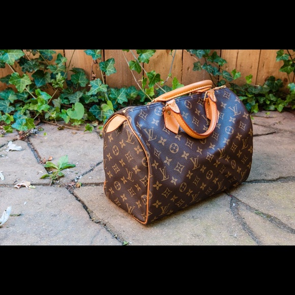 Louis Vuitton Speedy 30 Monogram Bag