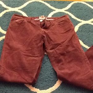 Burgundy corduroy AEO pants