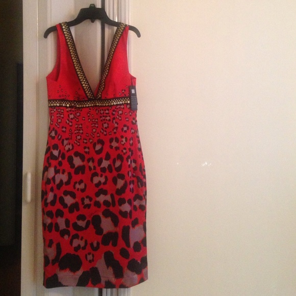 Just CAVALLI BRAND NEW
