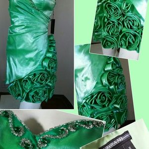 Terani Luminous Green Party Dress & Wrap  Flowers