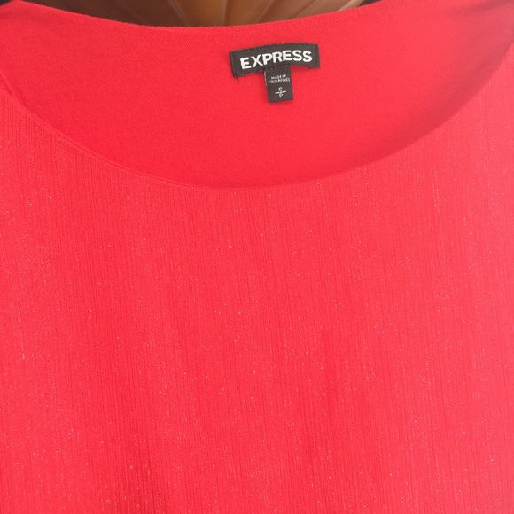 Express Shimmery Sheer Blouse with Red Undershirt - Picture 2 of 2