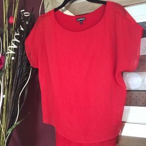 Express Shimmery Sheer Blouse with Red Undershirt