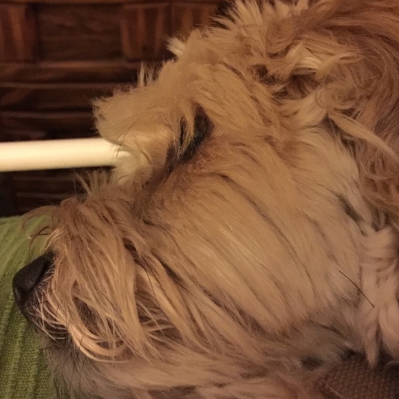 Sold - Picture 4 of 4