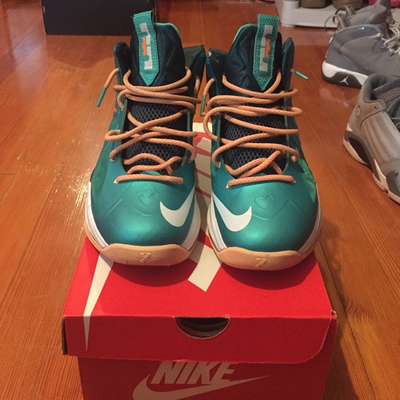 Dolphin Lebron X