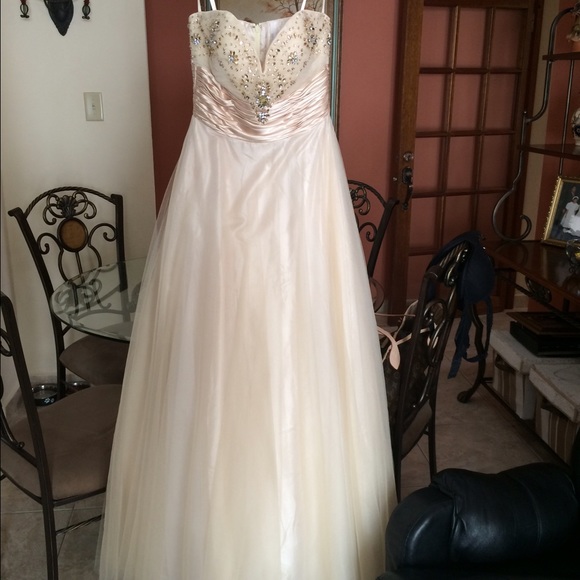 David's Bridal gown