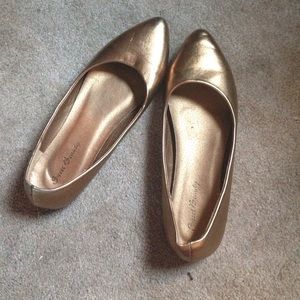 Gold flats and silver flats bundle