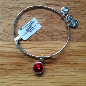 Alex & Ani shiny silver ruby birthstone charm