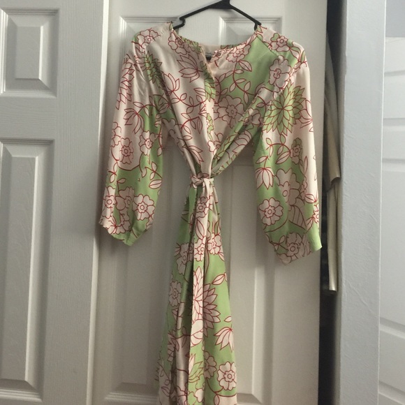 Shirt dress silk