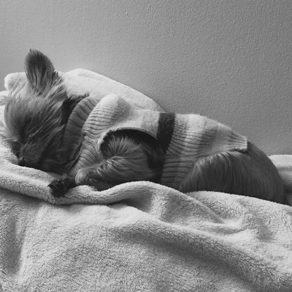 Please buy so I can get more toys for Lily!!! - Picture 5 of 5