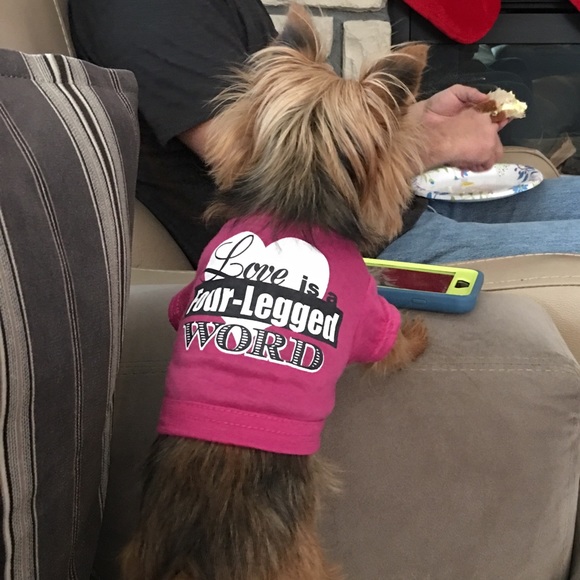 Please buy so I can get more toys for Lily!!! - Picture 3 of 5