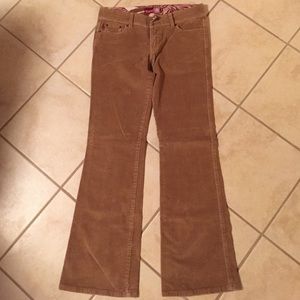 Hollister Corduroy Pants
