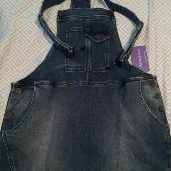 Seraphine Denim Maternity Dress